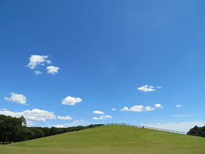 晴天の日の公園メインシンボル築山です。